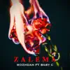 Mozhdah - Zalema (feat. Baby C) - Single